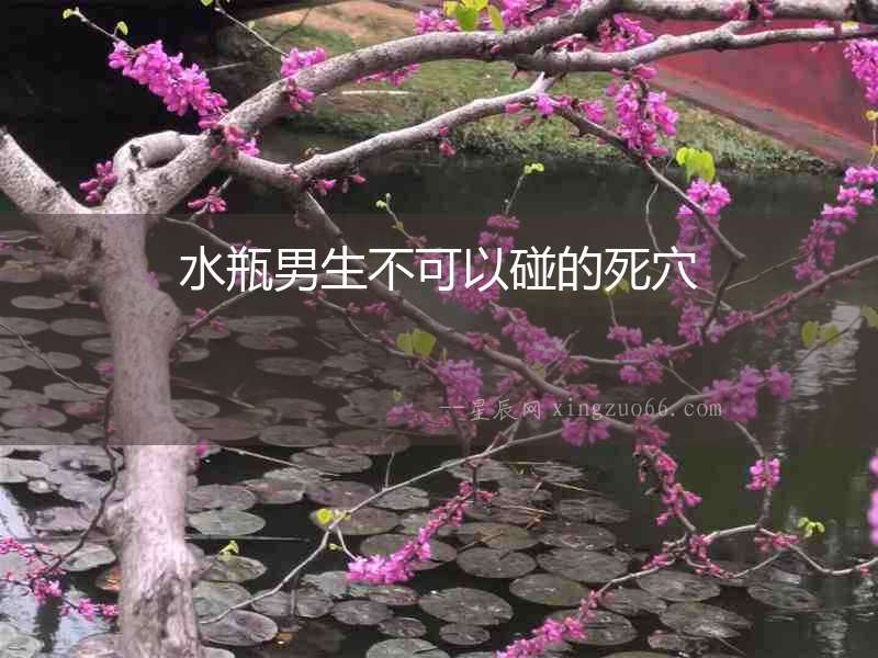 水瓶男生不可以碰的死穴