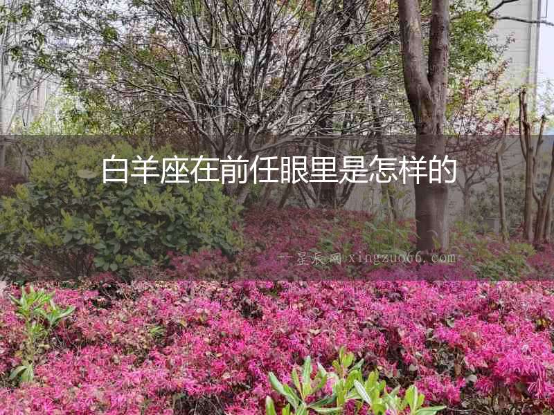 白羊座在前任眼里是怎樣的