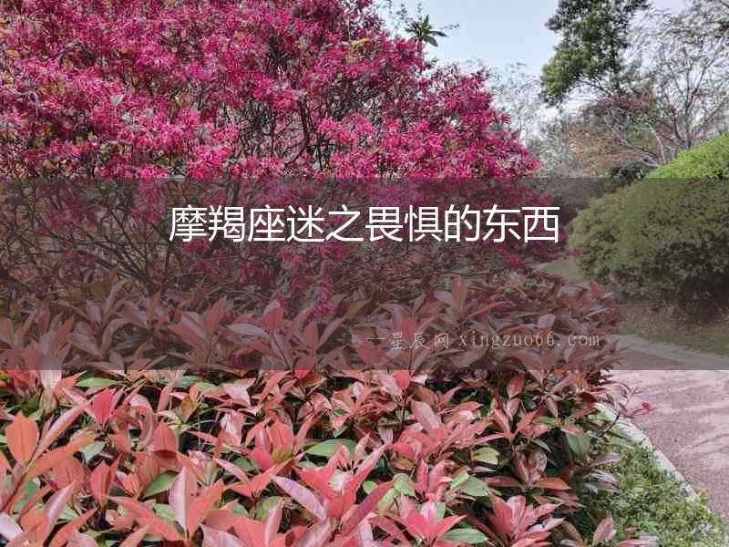 摩羯座迷之畏懼的東西