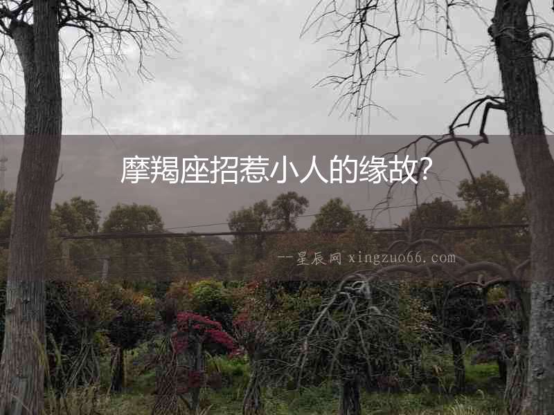 摩羯座招惹小人的緣故？