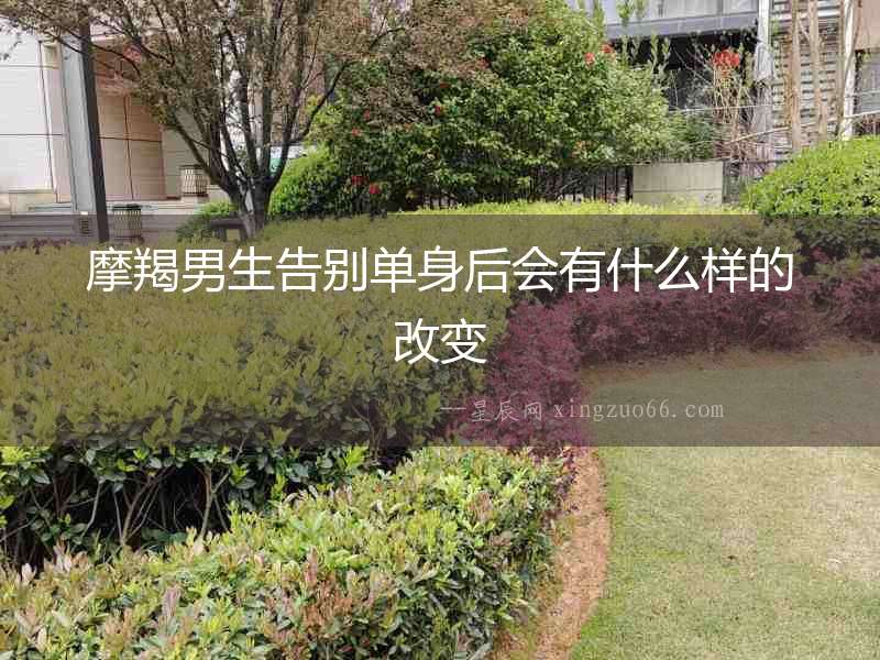 摩羯男生告別單身后會有什么樣的改變