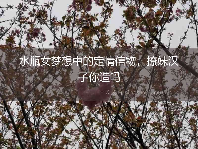 水瓶女夢想中的定情信物，撩妹漢子你造嗎