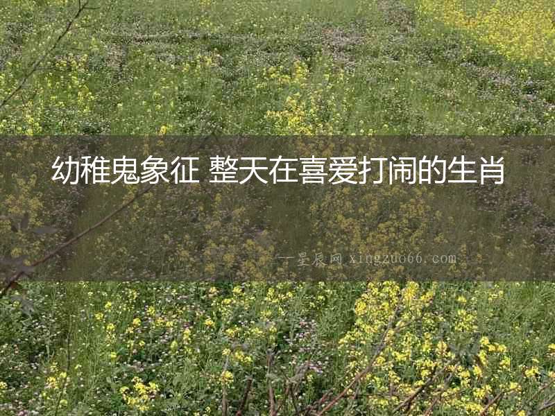 幼稚鬼象征 整天在喜愛打鬧的生肖