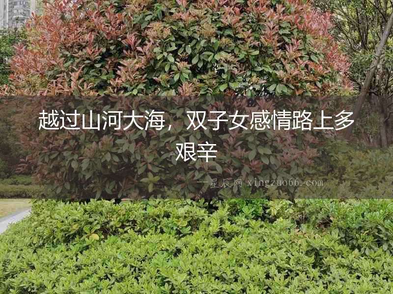 越過山河大海，雙子女感情路上多艱辛