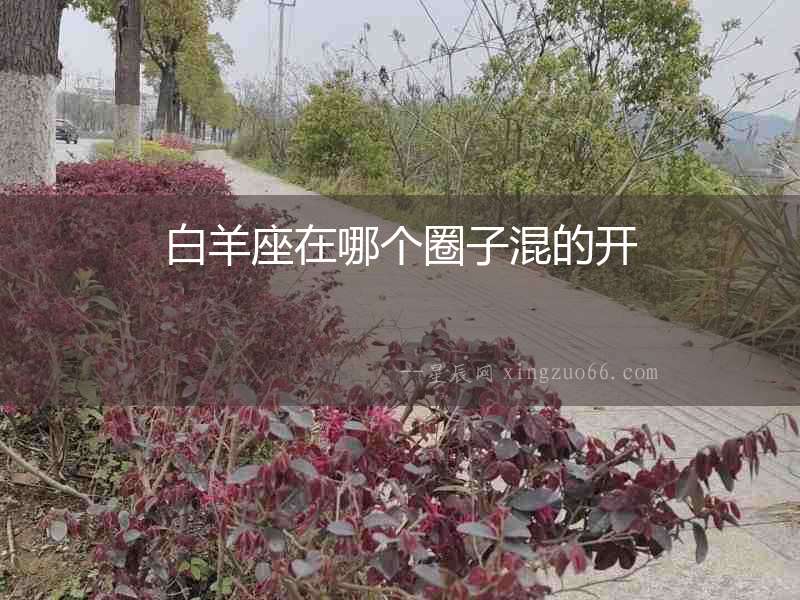 白羊座在哪個圈子混的開