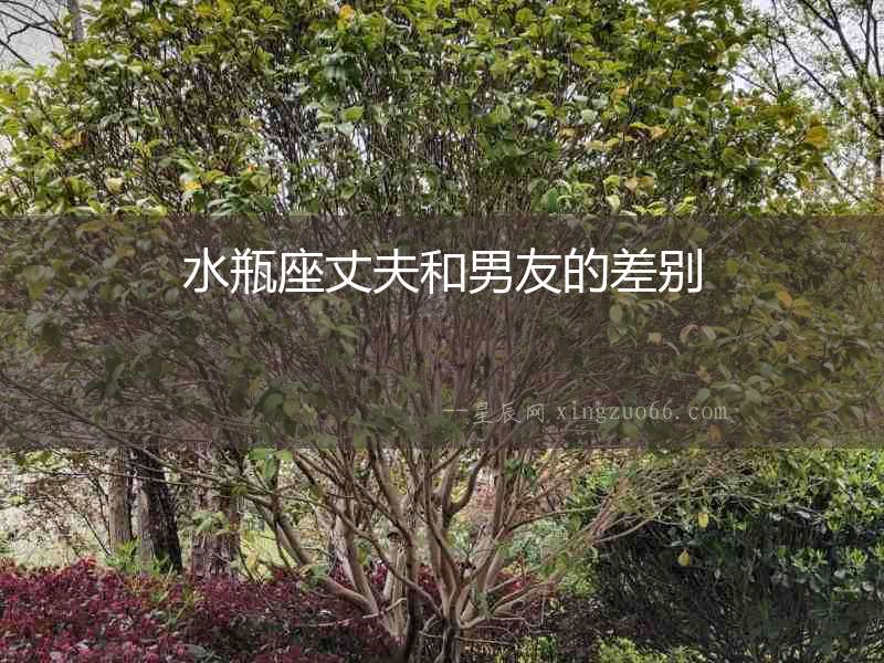 水瓶座丈夫和男友的差別