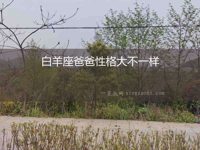 白羊座爸爸性格大不一樣
