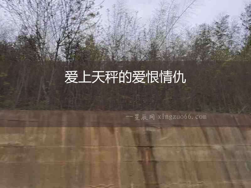 愛上天秤的愛恨情仇