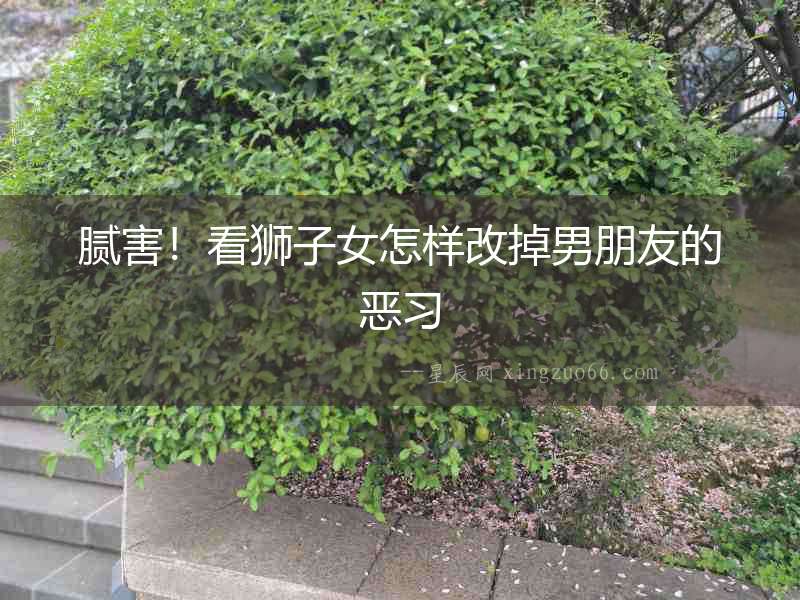 膩害！看獅子女怎樣改掉男朋友的惡習