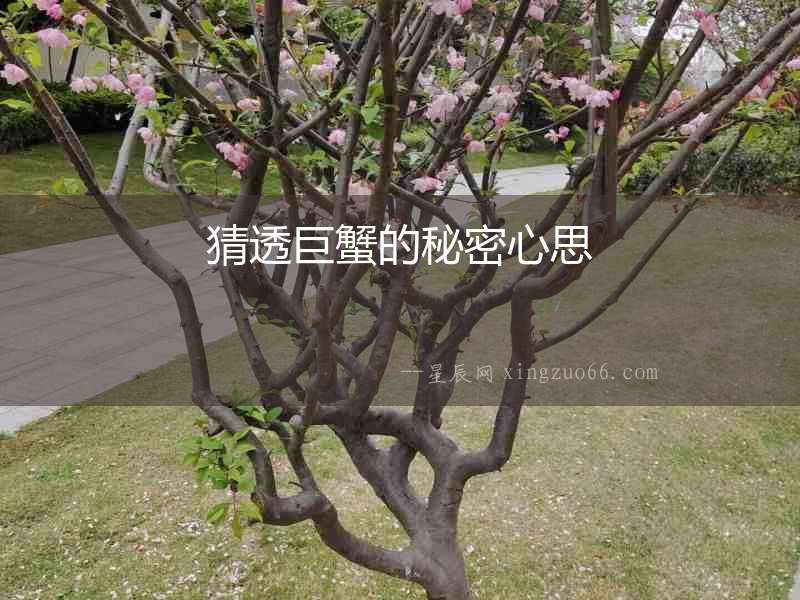 猜透巨蟹的秘密心思