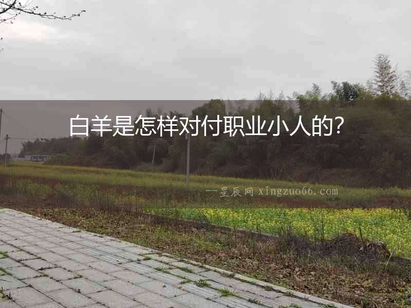 白羊是怎樣對(duì)付職業(yè)小人的？