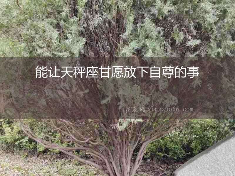 能讓天秤座甘愿放下自尊的事