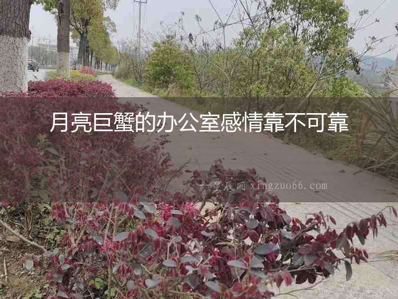 月亮巨蟹的辦公室感情靠不可靠
