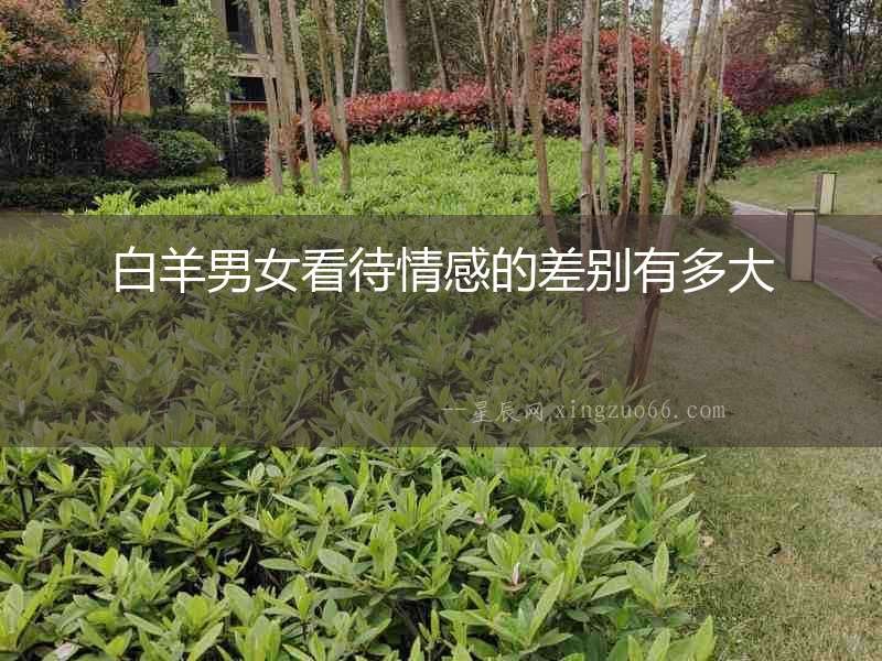 白羊男女看待情感的差別有多大