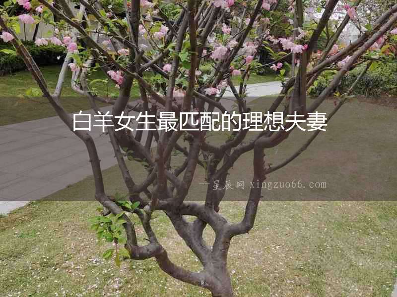 白羊女生最匹配的理想夫妻