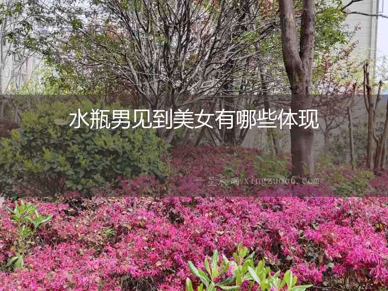 水瓶男見到美女有哪些體現(xiàn)