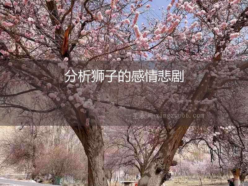 分析獅子的感情悲劇