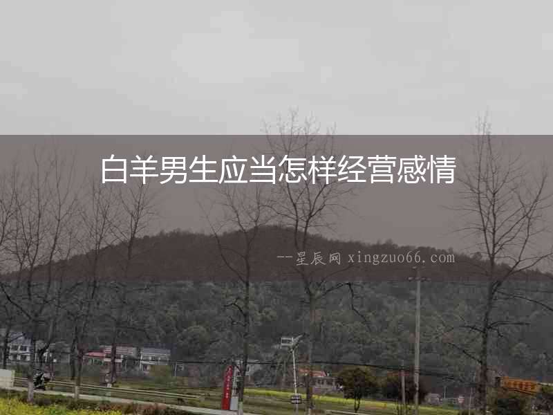 白羊男生應當怎樣經營感情