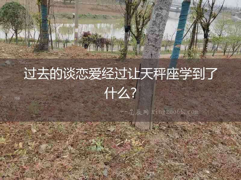 過去的談戀愛經過讓天秤座學到了什么？