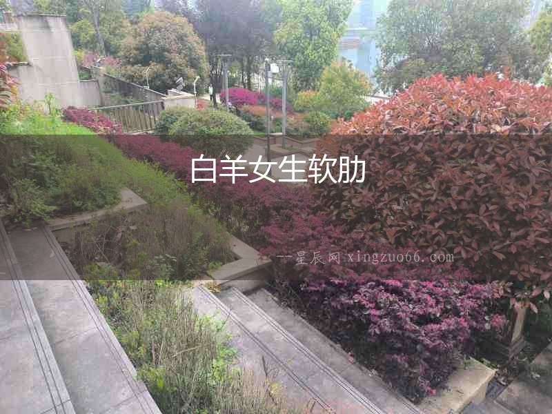 白羊女生軟肋