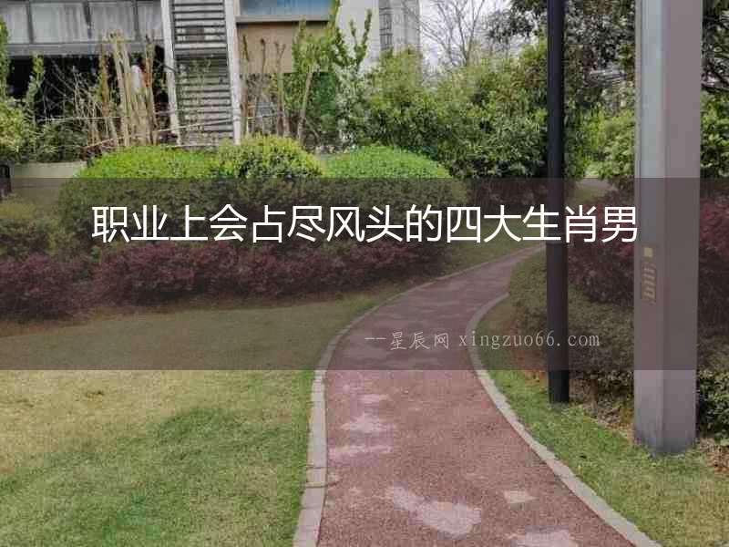 職業(yè)上會(huì)占盡風(fēng)頭的四大生肖男