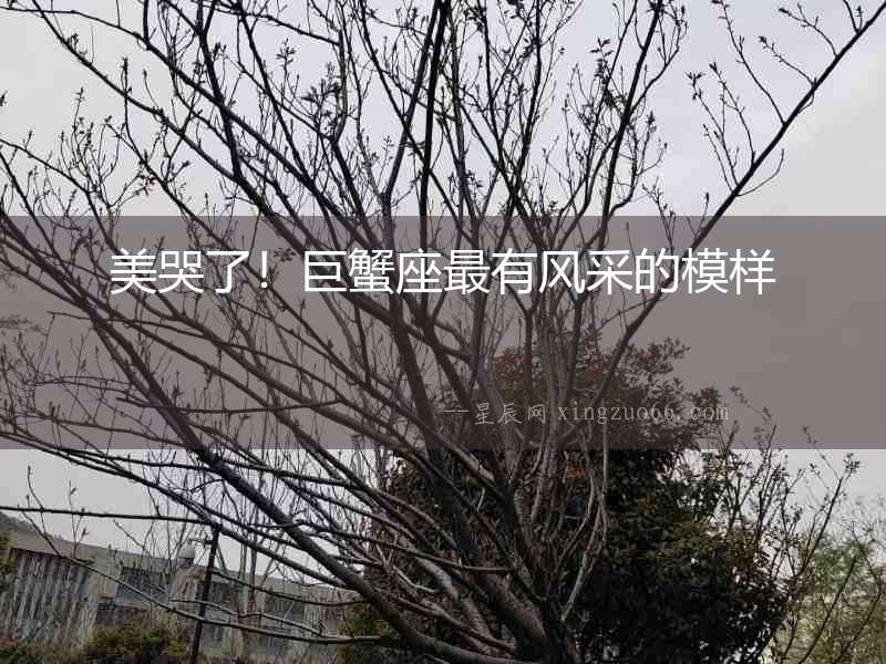美哭了！巨蟹座最有風采的模樣