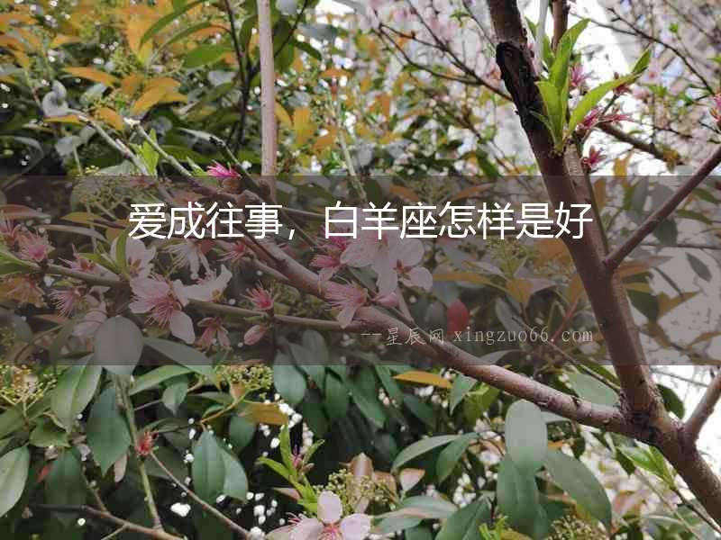 愛成往事，白羊座怎樣是好