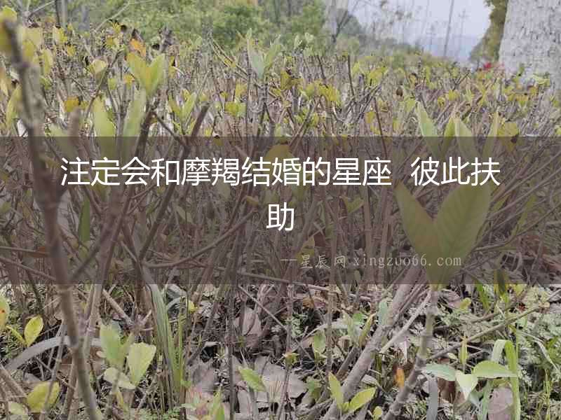 注定會(huì)和摩羯結(jié)婚的星座  彼此扶助
