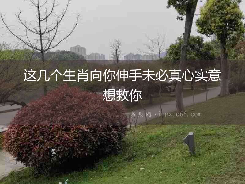 這幾個生肖向你伸手未必真心實意想救你