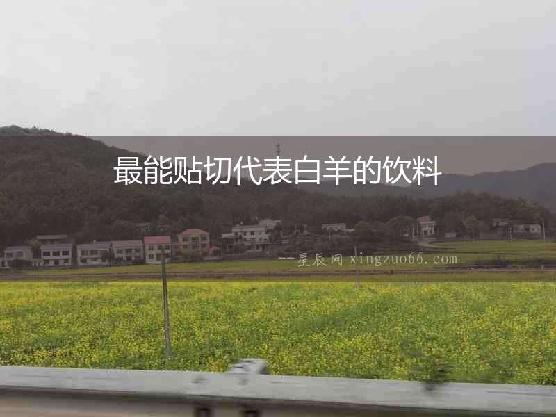 最能貼切代表白羊的飲料