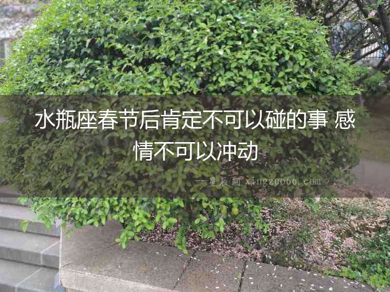 水瓶座春節(jié)后肯定不可以碰的事 感情不可以沖動(dòng)