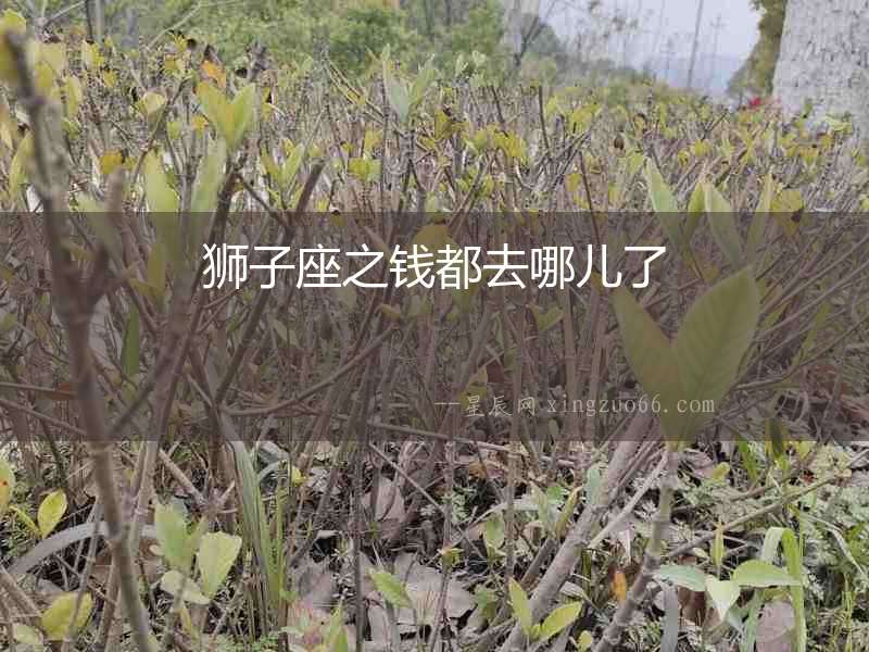 獅子座之錢都去哪兒了