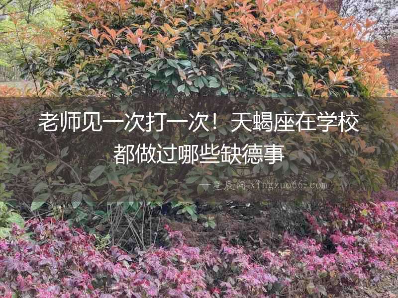 老師見一次打一次！天蝎座在學(xué)校都做過哪些缺德事