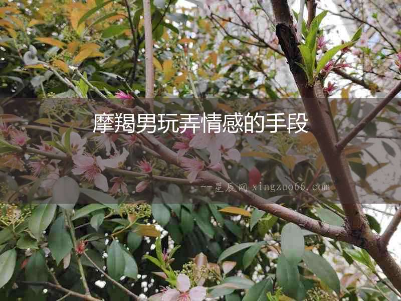 摩羯男玩弄情感的手段