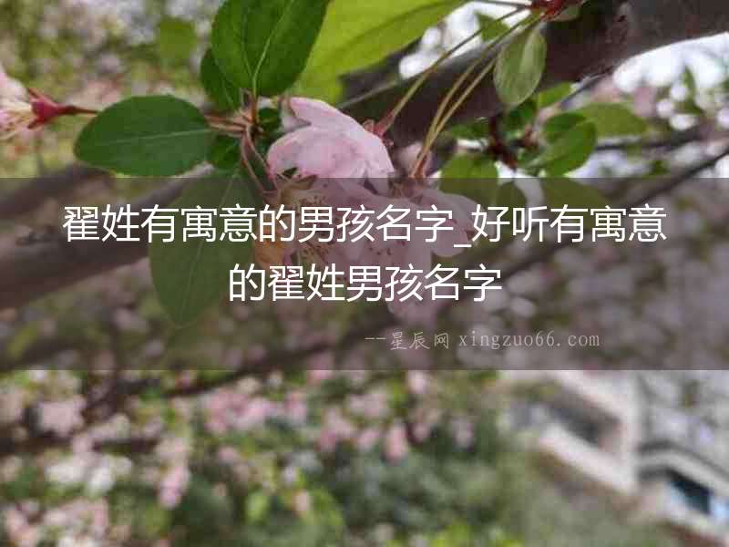 翟姓有寓意的男孩名字_好聽有寓意的翟姓男孩名字