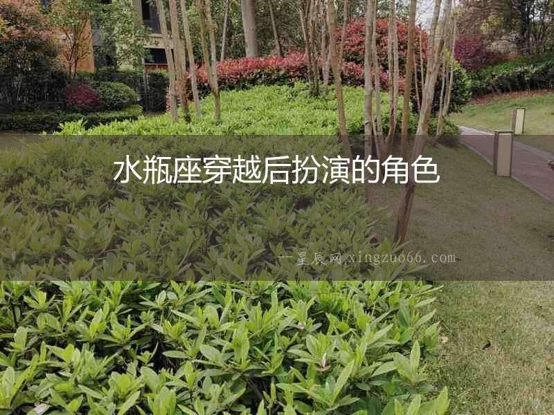 水瓶座穿越后扮演的角色