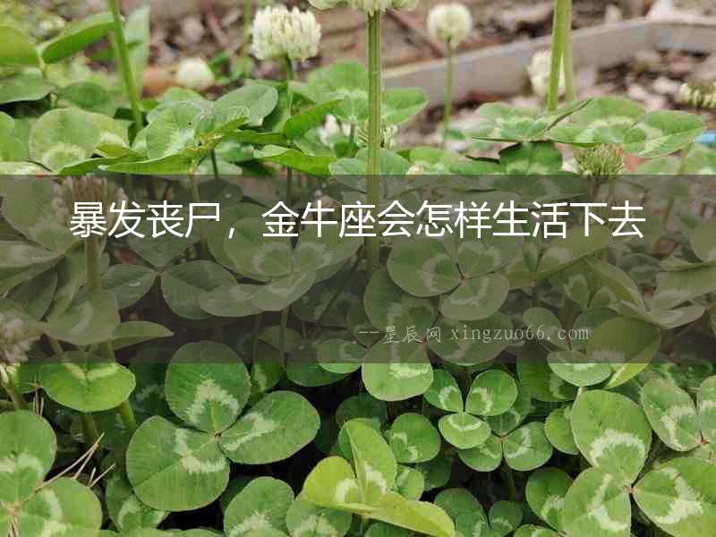 暴發(fā)喪尸，金牛座會怎樣生活下去