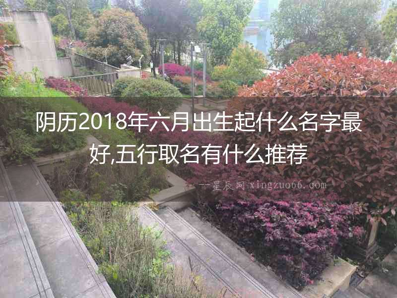 陰歷2018年六月出生起什么名字最好,五行取名有什么推薦
