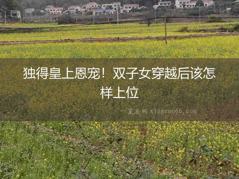 獨得皇上恩寵！雙子女穿越后該怎樣上位