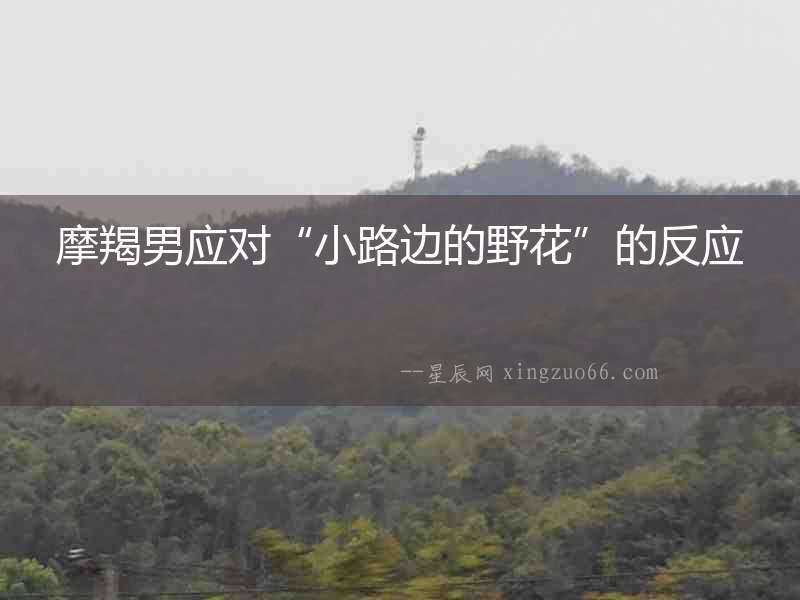 摩羯男應對“小路邊的野花”的反應