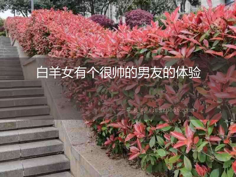 白羊女有個(gè)很帥的男友的體驗(yàn)