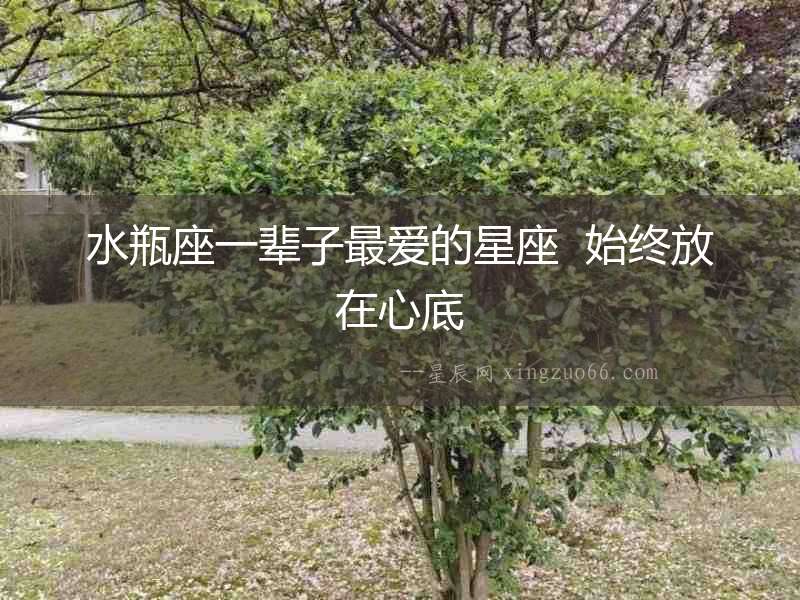水瓶座一輩子最愛的星座  始終放在心底