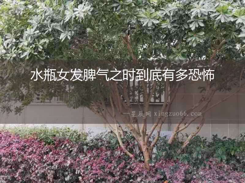 水瓶女發脾氣之時到底有多恐怖