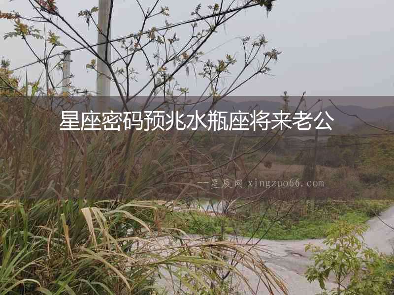 星座密碼預(yù)兆水瓶座將來(lái)老公