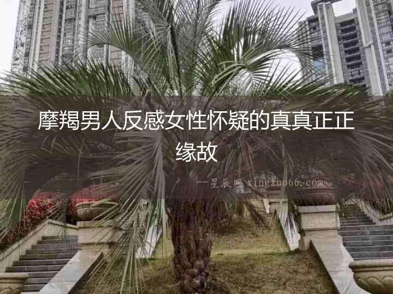 摩羯男人反感女性懷疑的真真正正緣故