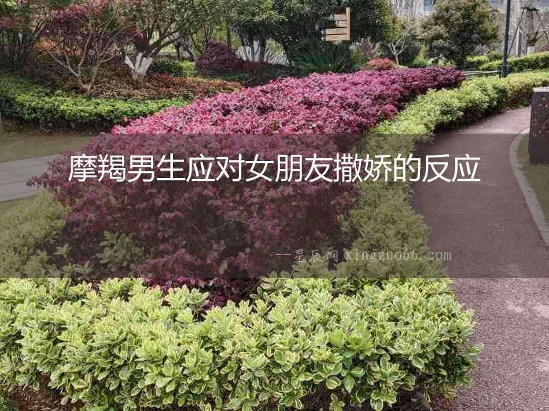 摩羯男生應(yīng)對女朋友撒嬌的反應(yīng)