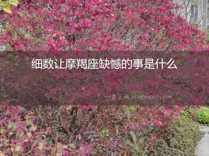 細數讓摩羯座缺憾的事是什么