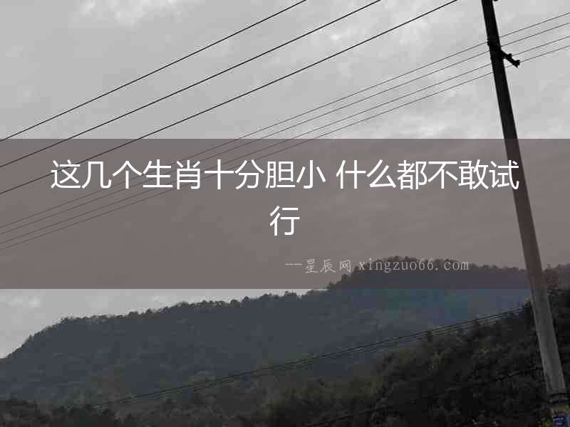 這幾個生肖十分膽小 什么都不敢試行