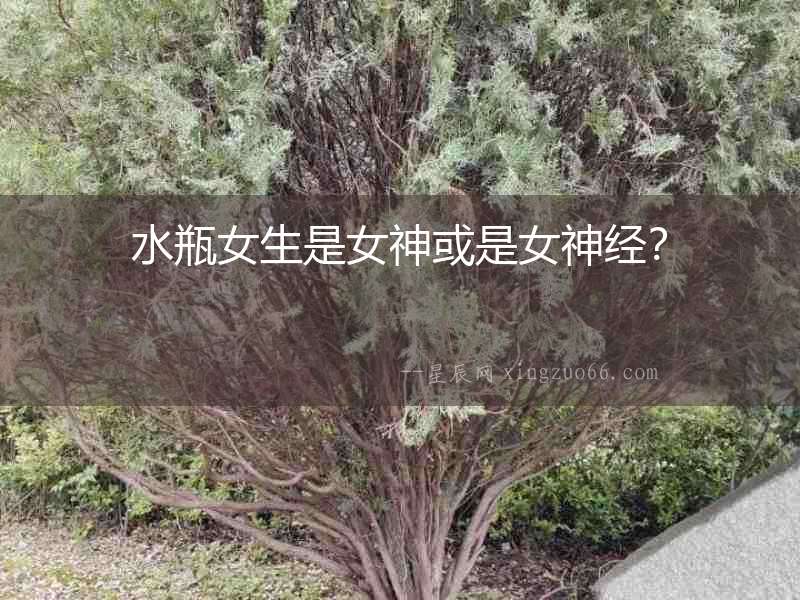 水瓶女生是女神或是女神經？