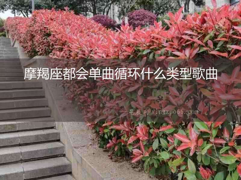 摩羯座都會單曲循環什么類型歌曲